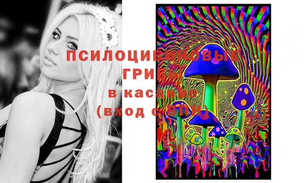 ГАЛЛЮЦИНОГЕННЫЕ ГРИБЫ Корсаков