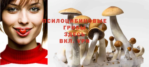 прущая мука Краснотурьинск