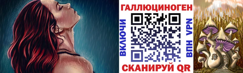 Купить  Ессентуки  Галлюциногенные грибы Psilocybe 