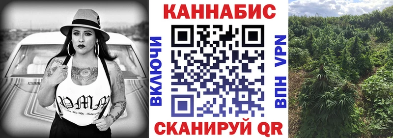 Каннабис конопля Купить закладки Ессентуки
